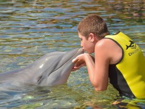 Дельфин и мальчик фото